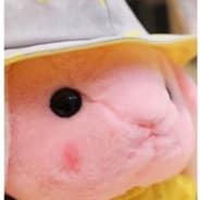 Gekko