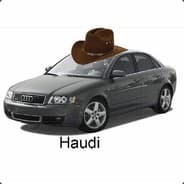 Haudi