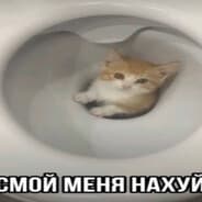 TheAm1g0