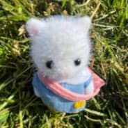 fearofbeingburiedalive