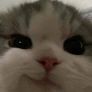 x_x