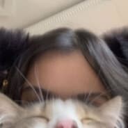JieJie