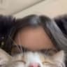 JieJie