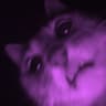 Purplesqueezie