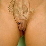 Ol3k"S NO SMURF