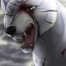 Kyoshiro