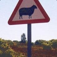 Redmouton