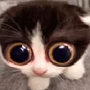 lukenzoggx
