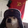 Russian Dog