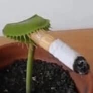 Joe