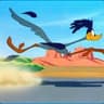 RoadRunner