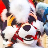foxkisser