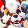 foxkisser