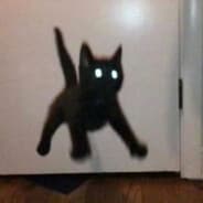 Teka