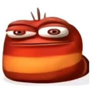 OI OI OI
