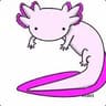 Wantaid l'Axolotl