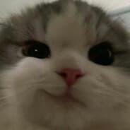 wil