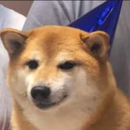 Wikusia