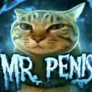 Mr.Penis