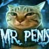 Mr.Penis