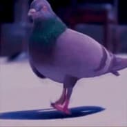 Warik