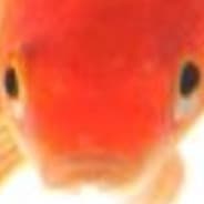 alvinng_2001