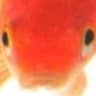 alvinng_2001