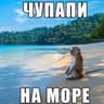 чупапи Nadejkin