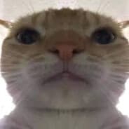 JMB