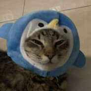 DORREE