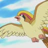 withbirds