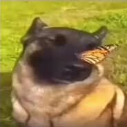 majitelzeme