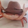 czlowiek krab