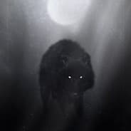 ZAKA