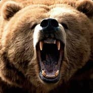 Brother Bear