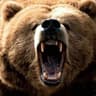 Brother Bear