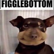 figglebottom