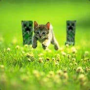 AccuraceGreed