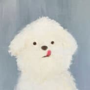 zuzu