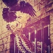LeoPoLD