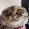 zeynep