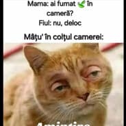 s4kal