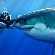O_o Shark