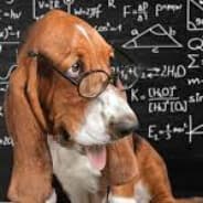 Euler's Pet Dog