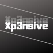 Xp3nsive