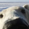 bearj4m????