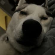 joN