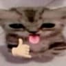 Gn4sh