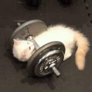 silly little lifter