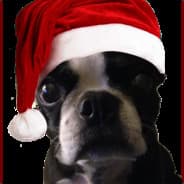 Nickdog